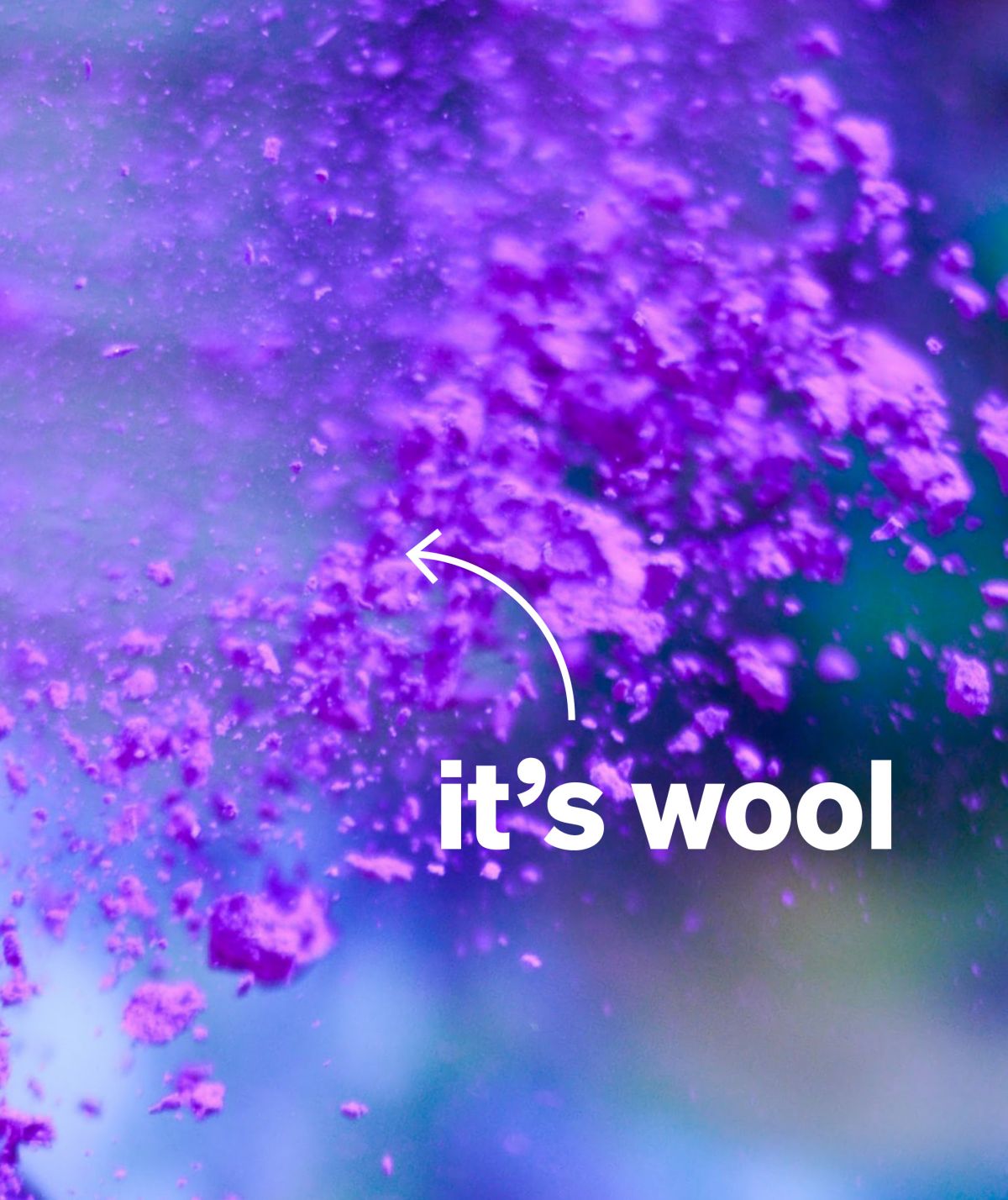 Image for Changing perceptions of wool